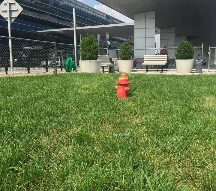 JFK Airport Terminal 1 Pet Relief Areas