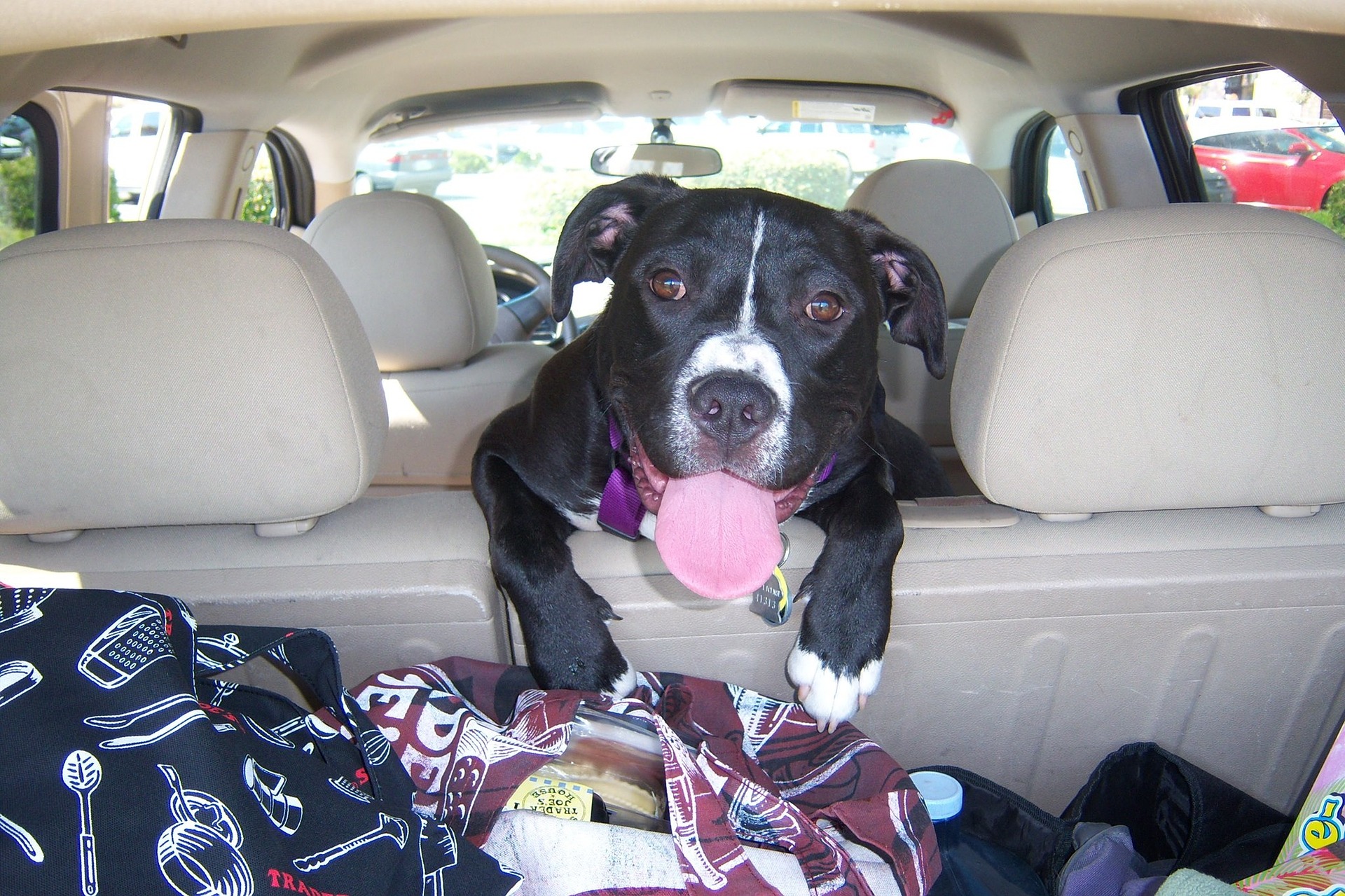 Car Travel