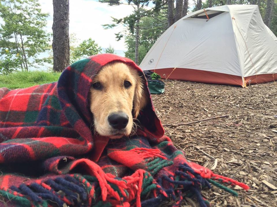 Campgrounds U.S.