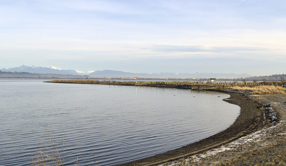 Blackie Spit Park Beach – Surrey, BC