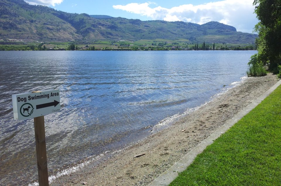 Osoyoos Dog Swim Areas – Osoyoos, BC