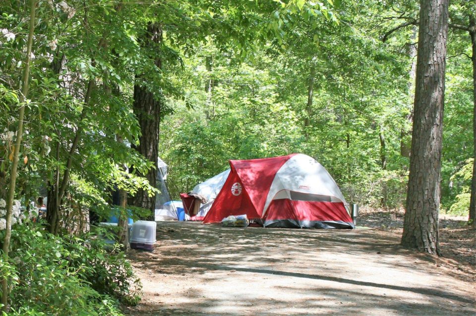 Pocomoke River State Park Campground – Snow Hill, MD