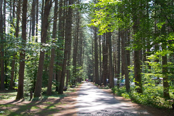 Bear Brook State Park Campground – Allenstown, NH