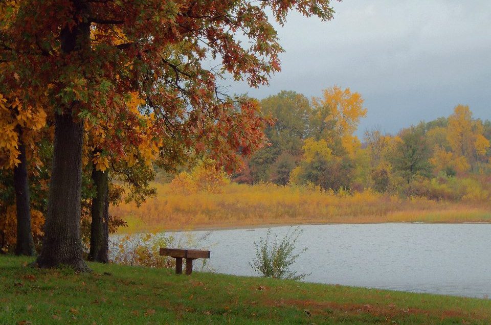 Clay County Park Campgrounds