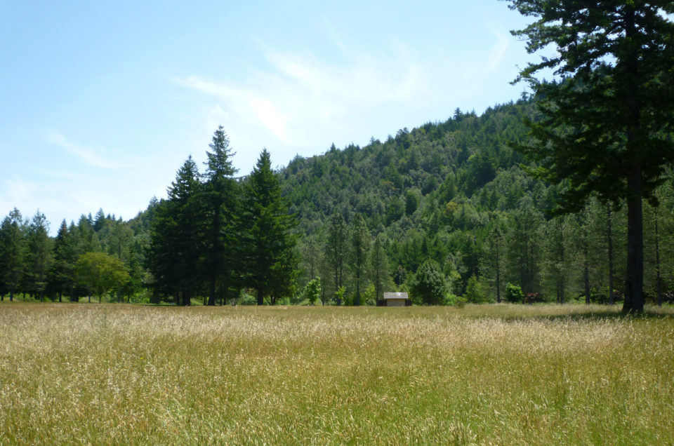 Humboldt County Campgrounds