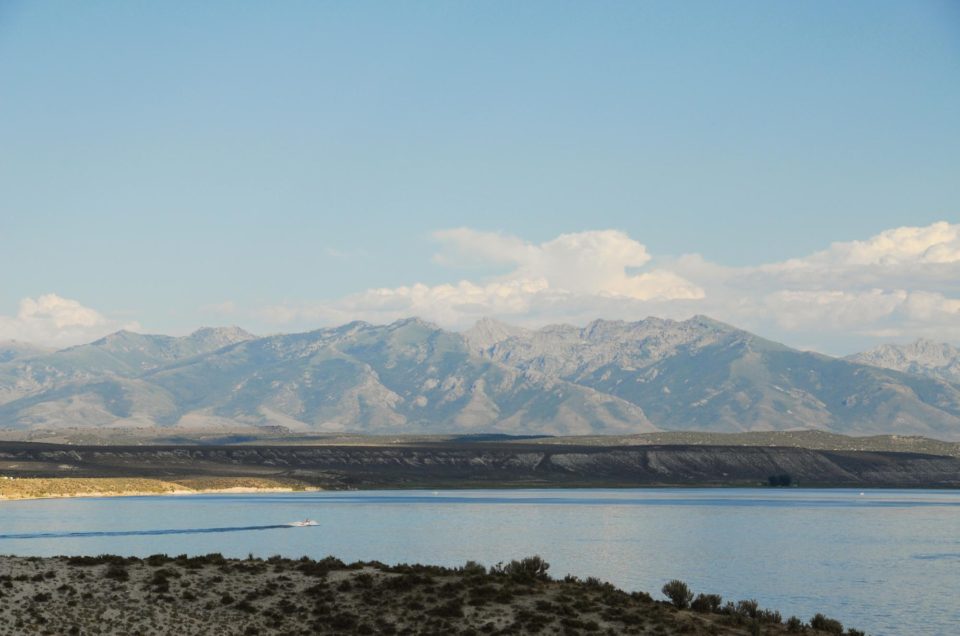 South Fork State Recreation Area Campground – Spring Creek, NV