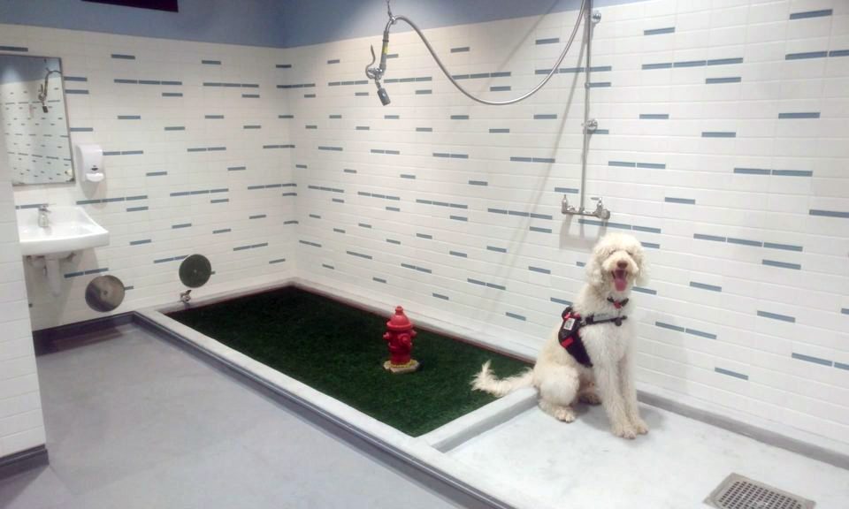 Hartsfield-Jackson Atlanta International Airport (ATL) Pet Relief Areas