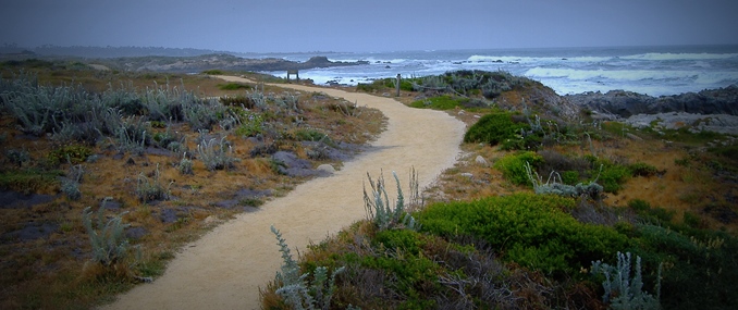 Asilomar State Beach – Pacific Grove, CA