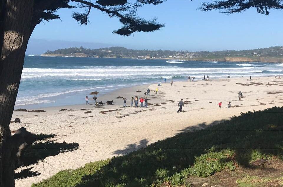 Carmel City Beach – Carmel-by-the-Sea, CA