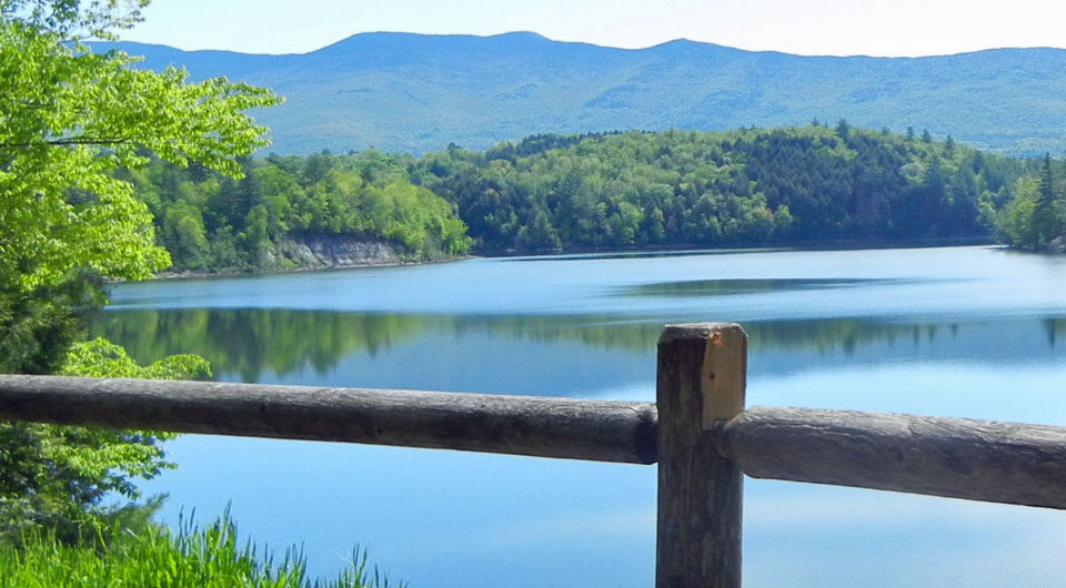 Little River State Park Dog Swim Area – Waterbury, VT