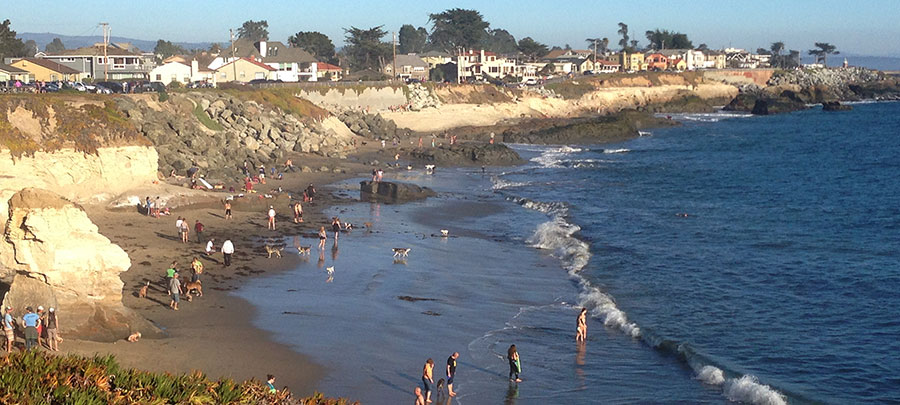 Mitchell’s Cove Beach – Santa Cruz, CA