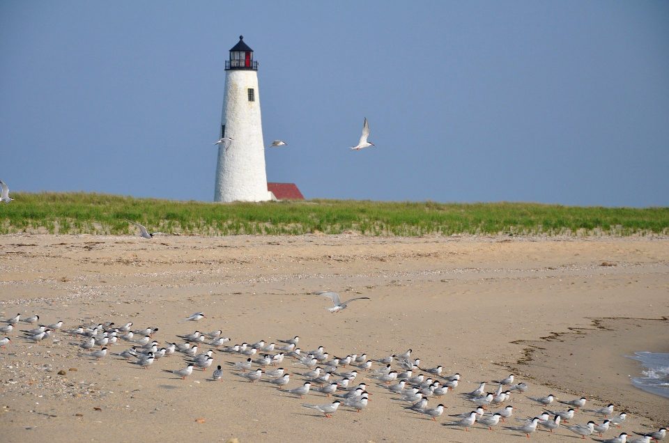 Nantucket Island Beaches – Nantucket, MA