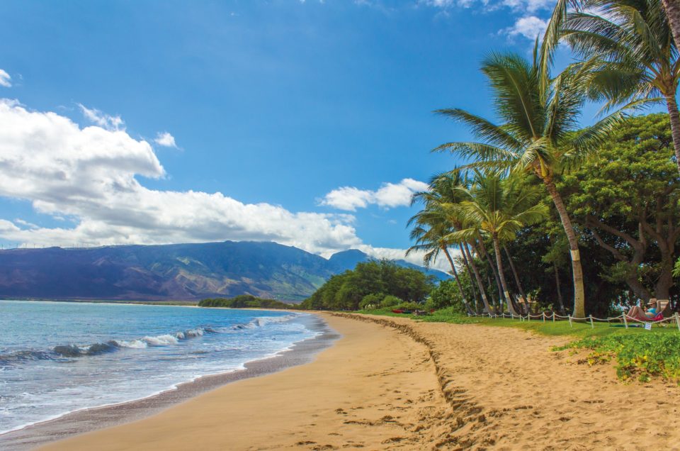 Oahu Beaches – Dog Friendly Beaches – Oahu, HI