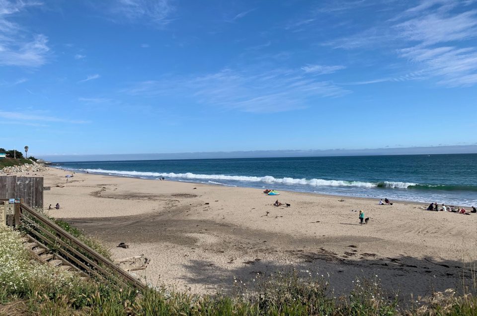 Santa Cruz County Beaches – Dog Rules