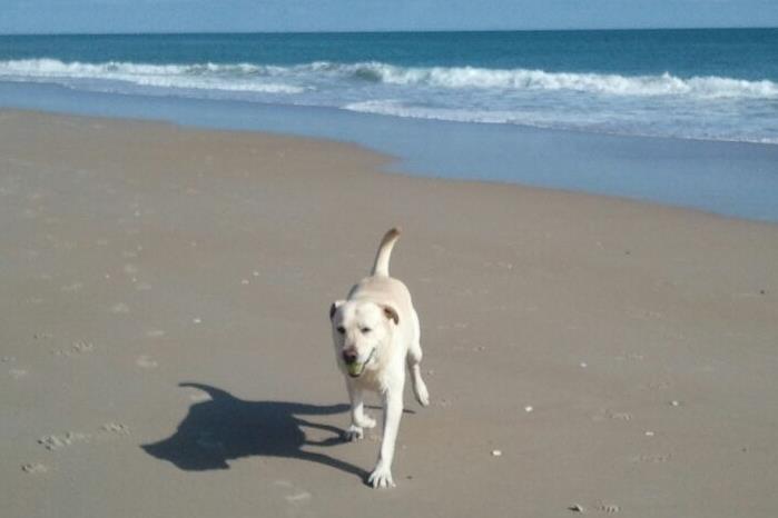 Topsail Beach – Topsail Island, NC