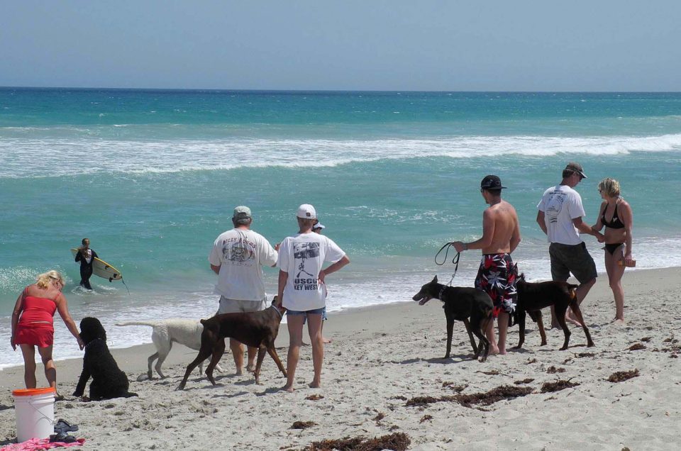 Walton Rocks Dog Beach – Jensen Beach, FL