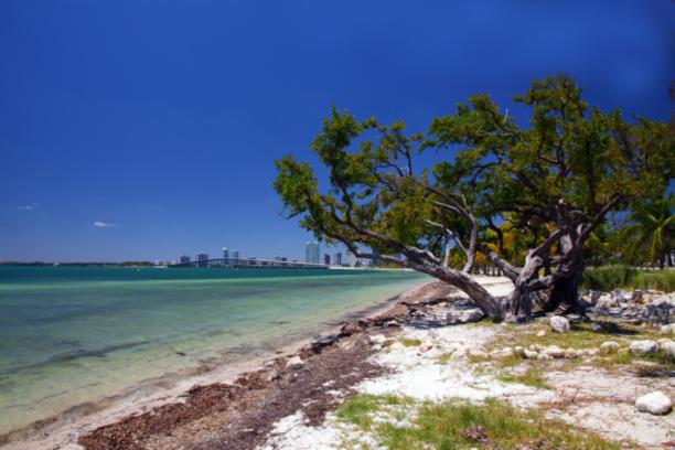 Hobie Beach/Windsurfer Beach) – Key Biscayne, FL