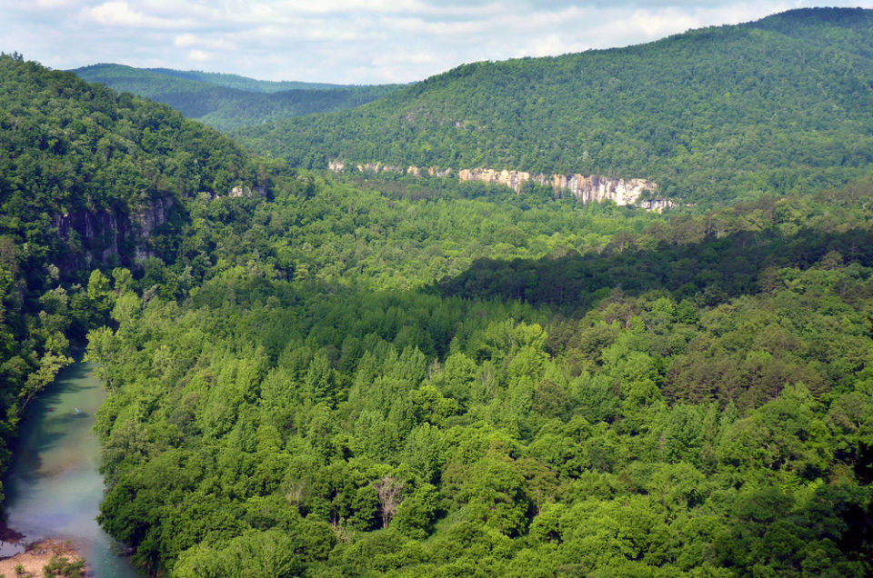 Buffalo National River Pet Policy