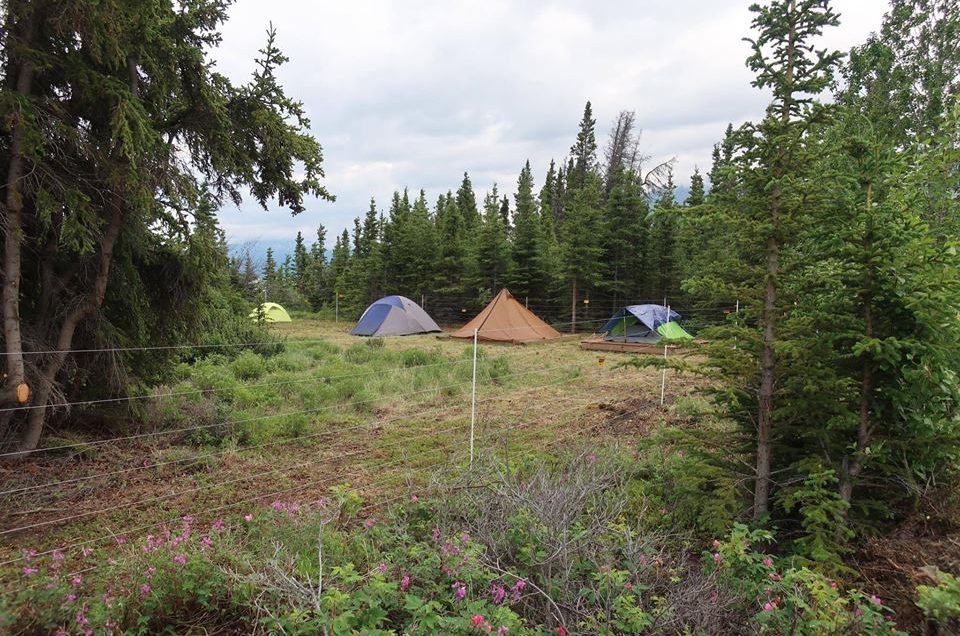 Yukon Government Campgrounds