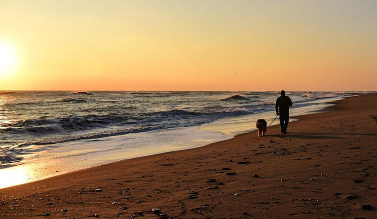 Cape Cod National Seashore Pet Policy