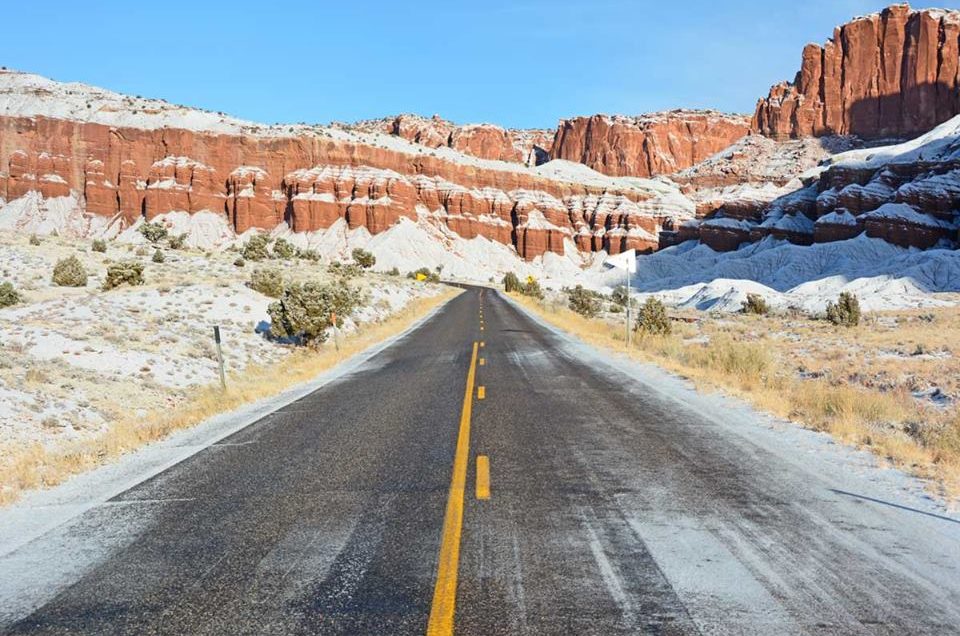 Capitol Reef National Park Pet Policy