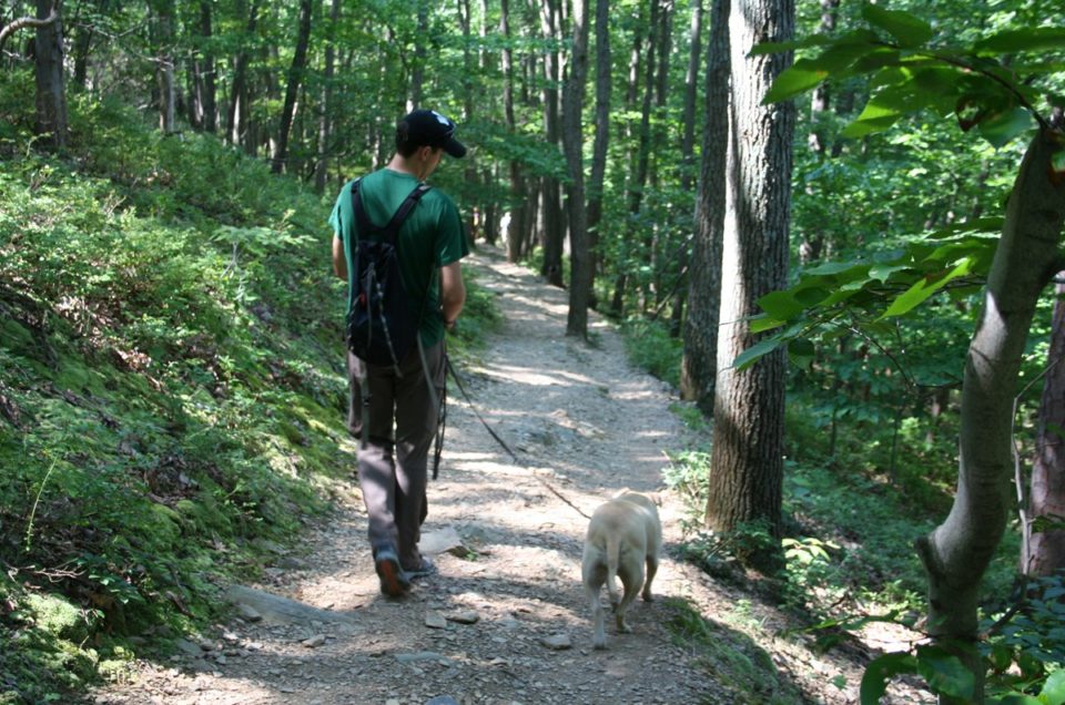 Catoctin Mountain Park Pet Policy