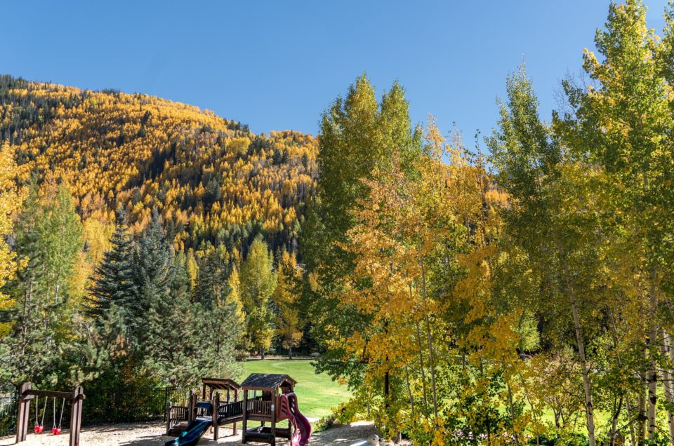 Colorado State Parks Pet Policy