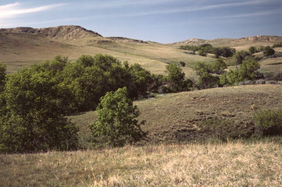 Dakota Prairie Grasslands Pet Policy