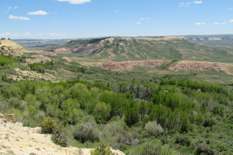 Fossil Butte National Monument Pet Policy