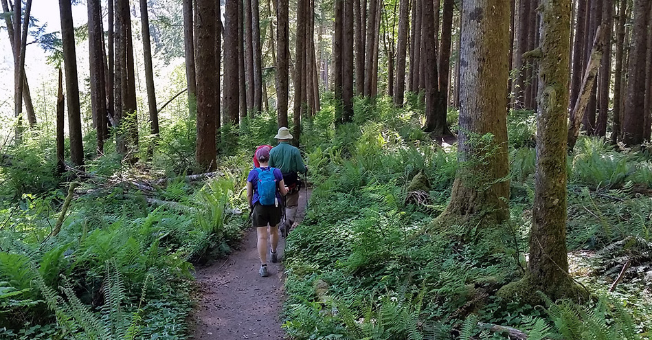 Gifford-Pinchot National Forest Pet Policy
