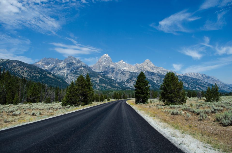 Grand Teton National Park Pet Policy
