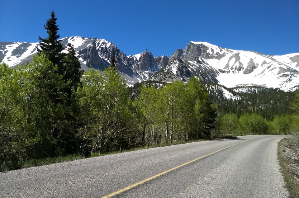 Great Basin National Park Pet Policy