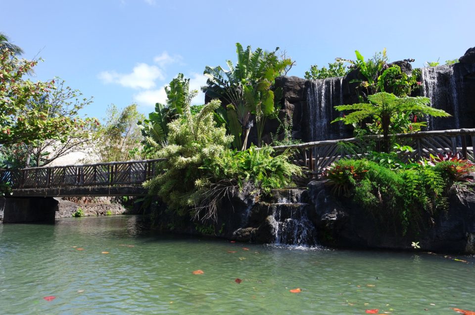 Hawaii State Parks Pet Policy