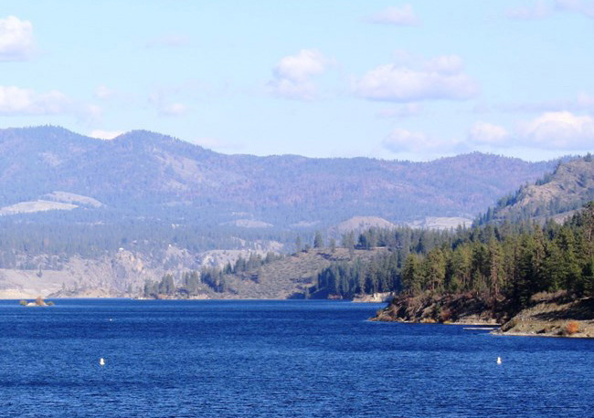 Lake Roosevelt National Recreation Area Pet Policy