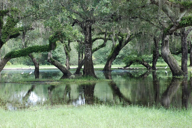 Manatee County Parks