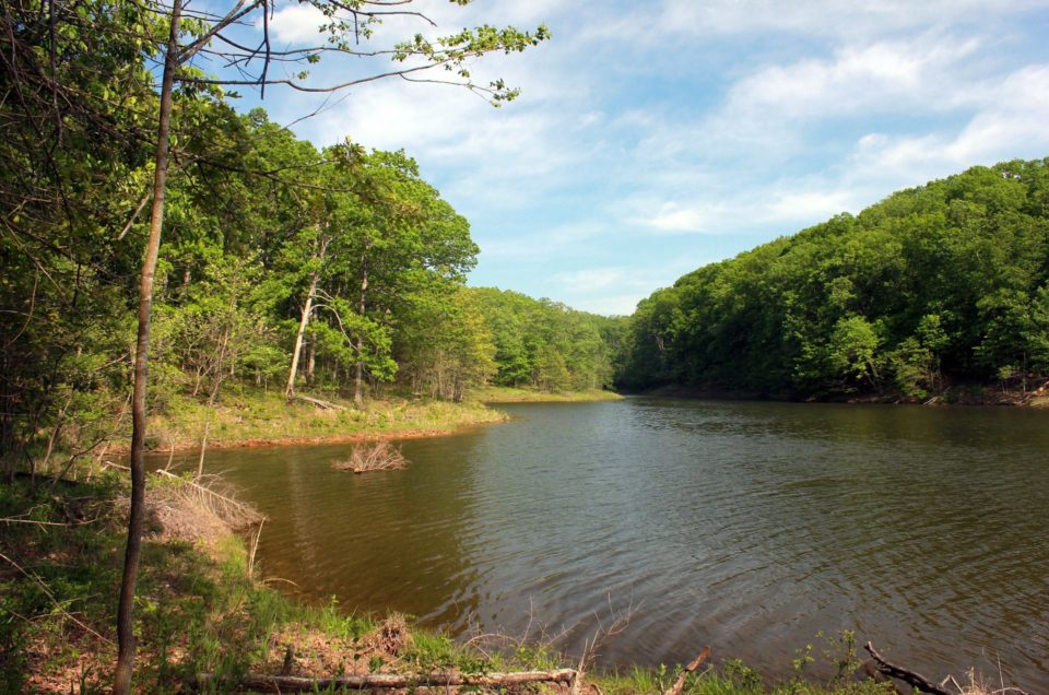 Missouri State Parks Pet Policy