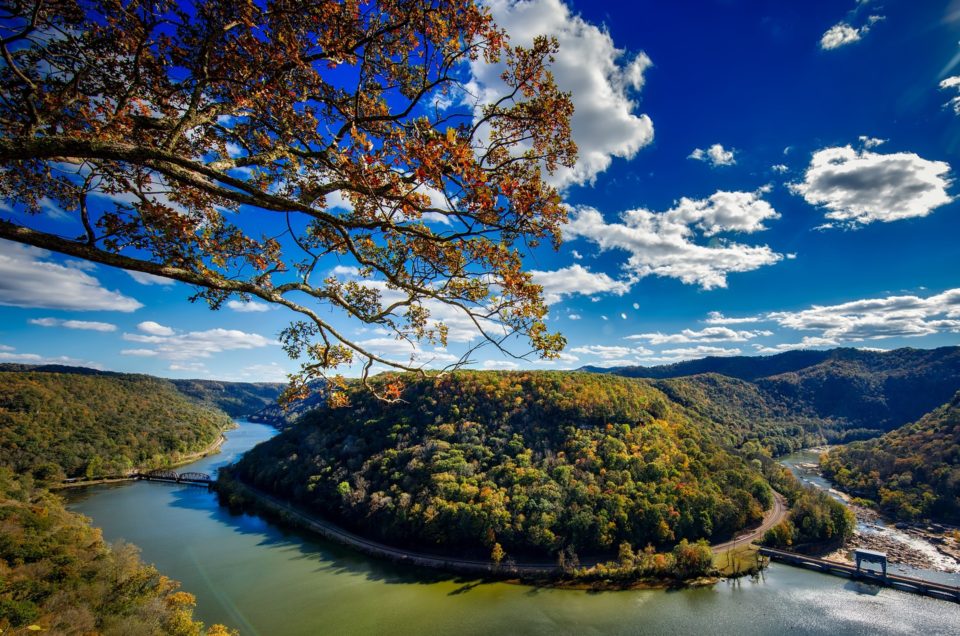 Monongahela National Forest Pet Policy