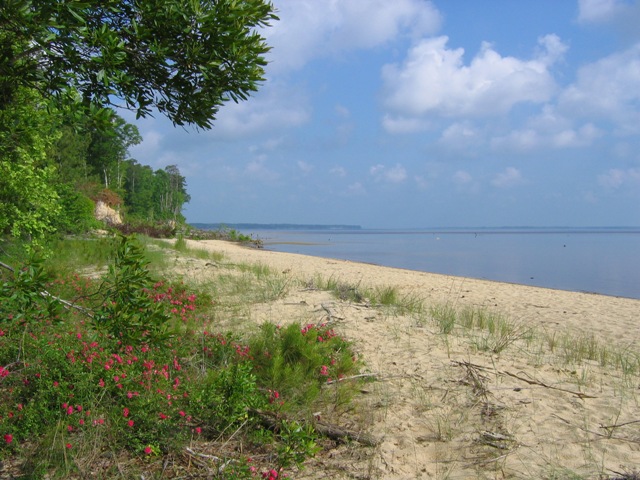 North Carolina National Forests Pet Policy