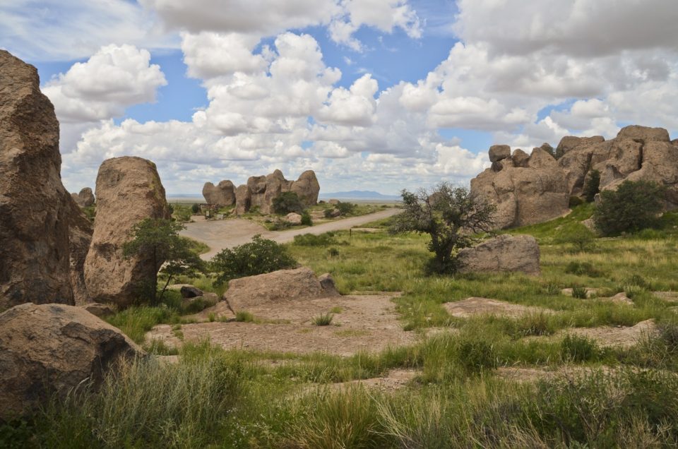 New Mexico State Parks Pet Policy