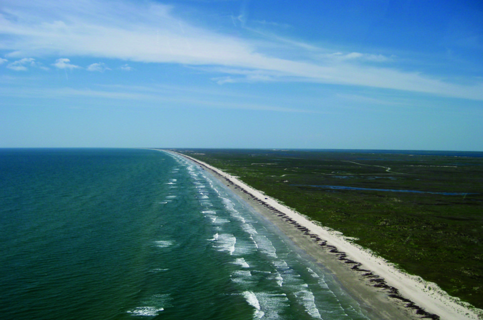 Padre Island National Seashore Pet Policy