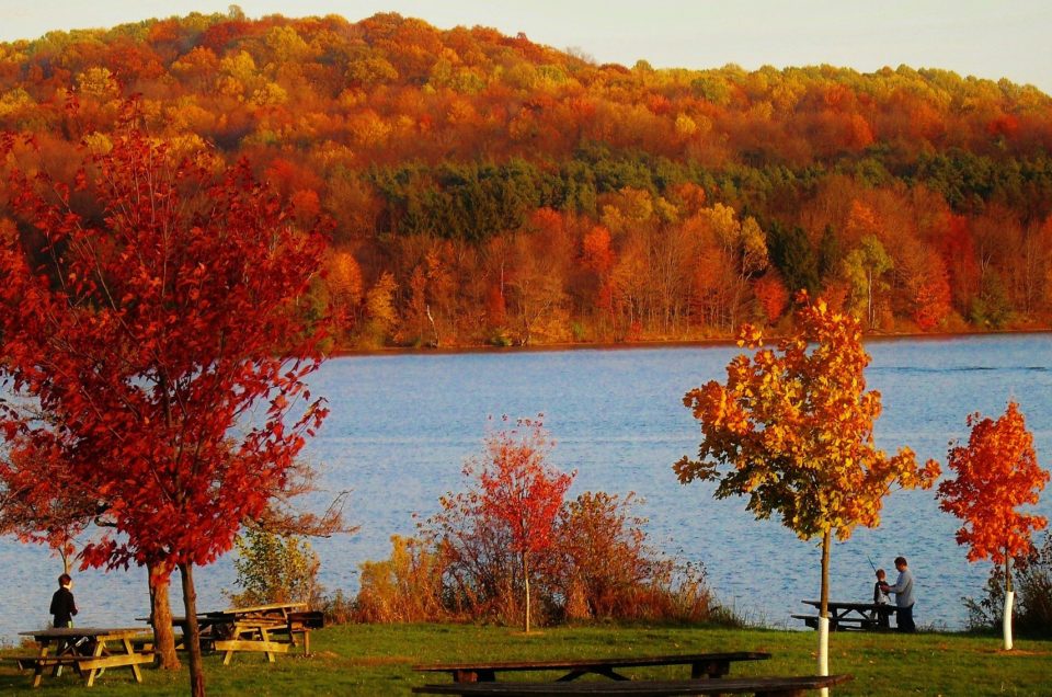 Pennsylvania State Parks Pet Policy