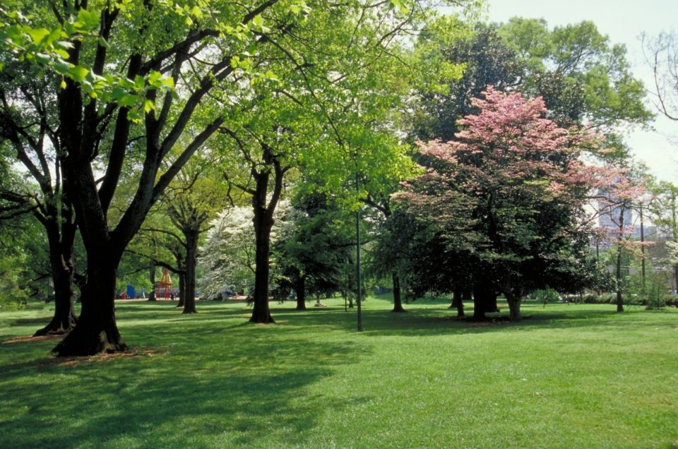 Atlanta: Piedmont Park
