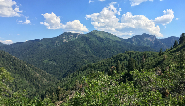Salt Lake County Parks