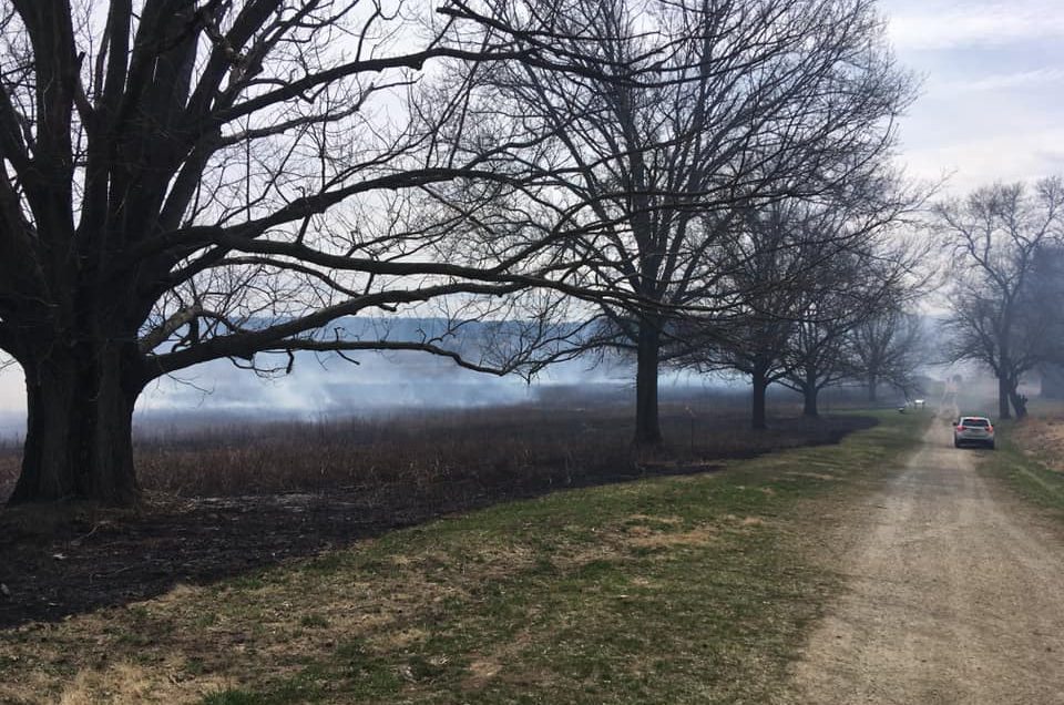 Valley Forge National Historical Park Pet Policy