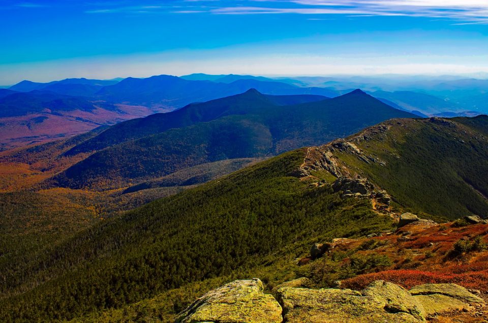 White Mountain National Forest Pet Policy