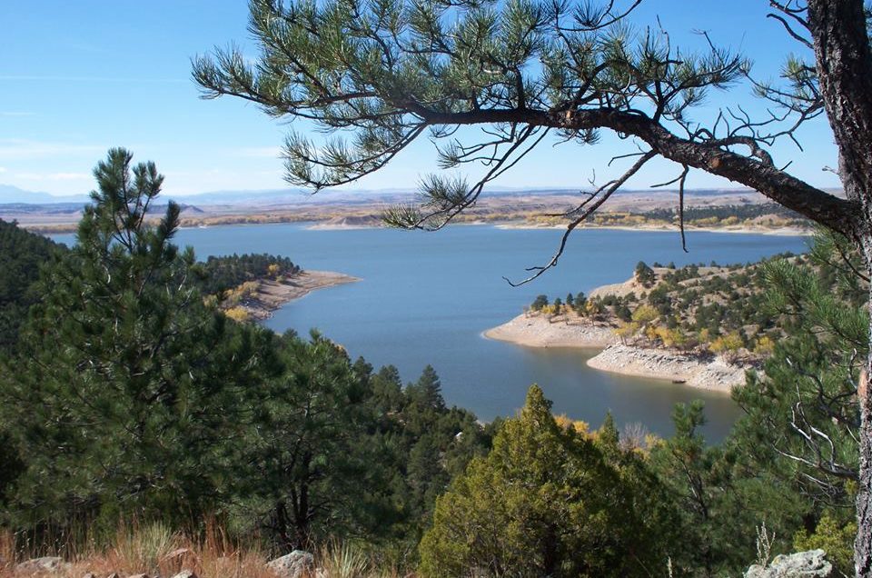 Wyoming State Parks Pet Policy