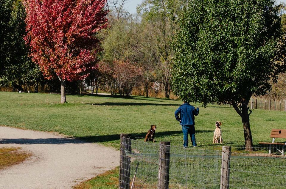 Cedar Rapids Dog Parks – Cedar Rapids, IA