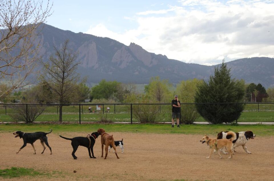Boulder Dog Parks