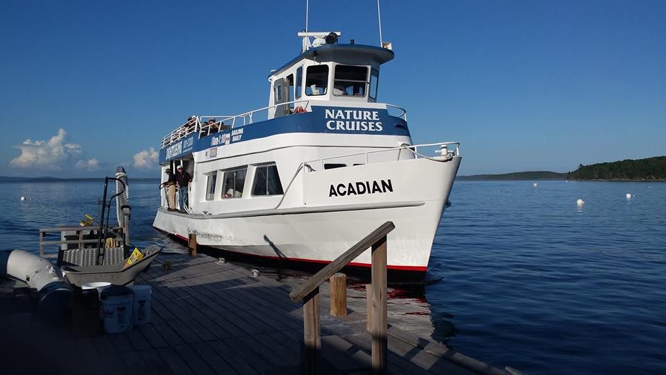 Acadian Boat Tours