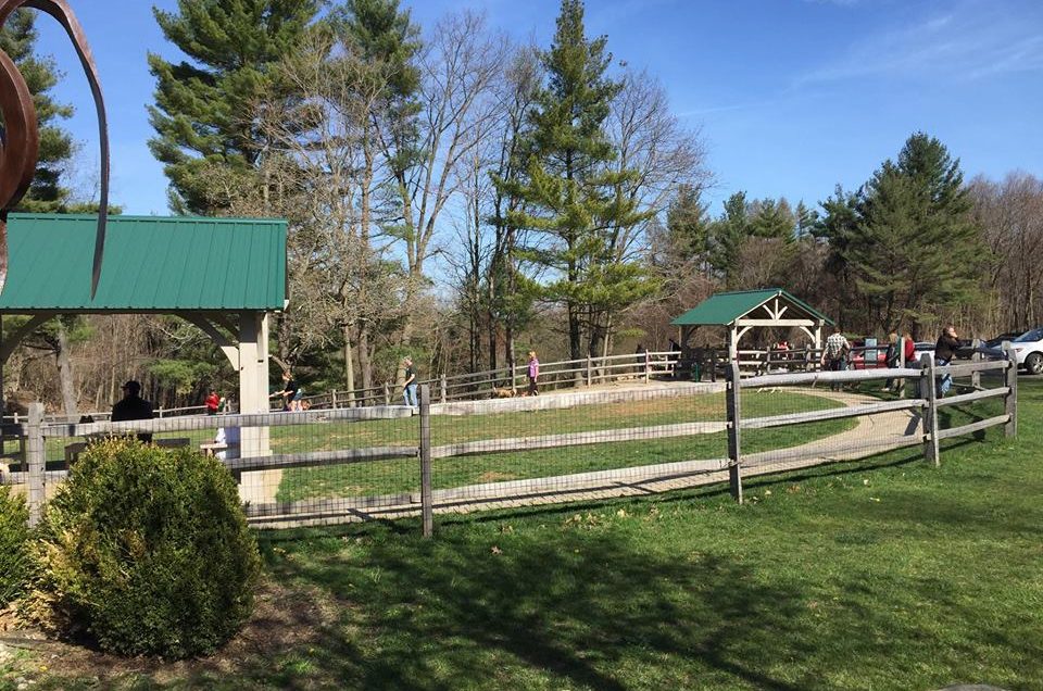 Barrington: Barrington Dog Park